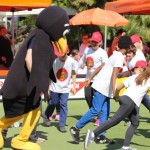 006_Zogarija2016_Trst