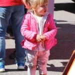 023_Zogarija2016_Trst