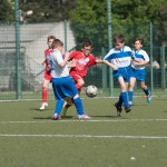 02_07052016-_Opicina_-Kras_B_-_pulcini-24