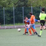 033_nog1AL_Breg-Sovodnje