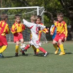 03_30042016-_Kras_B_-_Primorje_Piccoli_Amici-452