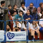 043_kosCliga_Bor-SanDaniele