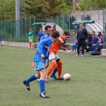 049_nog1AL_Breg-Sovodnje