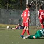 04_04052016-_Kras_B_-_San_Luigi_D_pulcini-59