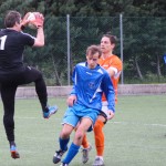 057_nog1AL_Breg-Sovodnje