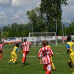 068_EsoKras_Chievo_219