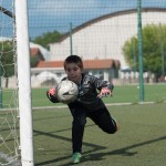 06_07052016-_Opicina_-Kras_B_-_pulcini-56