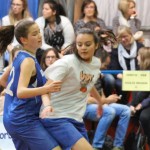 073_kosCliga_Bor-SanDaniele