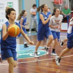 076_kosCliga_Bor-SanDaniele