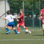 07_07052016-_Opicina_-Kras_B_-_pulcini-67