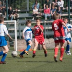 08_07052016-_Opicina_-Kras_B_-_pulcini-89