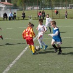 08_30042016-_Kras_B_-_Primorje_Piccoli_Amici-337