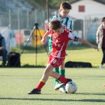 11_04052016-_Kras_B_-_San_Luigi_D_pulcini-123