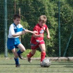 11_07052016-_Opicina_-Kras_B_-_pulcini-111