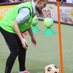 133_Zogarija2016_Trst