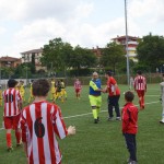 134_EsoKras_Chievo_324