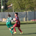 13_04052016-_Kras_B_-_San_Luigi_D_pulcini-172