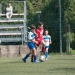 13_07052016-_Opicina_-Kras_B_-_pulcini-126