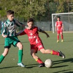 14_04052016-_Kras_B_-_San_Luigi_D_pulcini-187