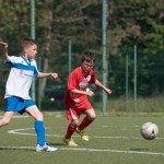 14_07052016-_Opicina_-Kras_B_-_pulcini-139