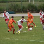 15_01052016-_Manzanese_-_Kras-194