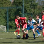 15_07052016-_Opicina_-Kras_B_-_pulcini-162