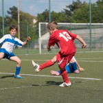 17_07052016-_Opicina_-Kras_B_-_pulcini-173