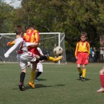 17_30042016-_Kras_B_-_Primorje_Piccoli_Amici-255