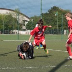 18_07052016-_Opicina_-Kras_B_-_pulcini-185