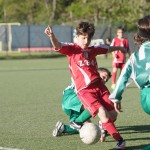 19_04052016-_Kras_B_-_San_Luigi_D_pulcini-243