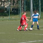 20_07052016-_Opicina_-Kras_B_-_pulcini-241