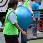 215_Zogarija2016_Trst