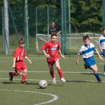 21_07052016-_Opicina_-Kras_B_-_pulcini-242