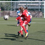 23_07052016-_Opicina_-Kras_B_-_pulcini-259