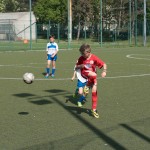 24_07052016-_Opicina_-Kras_B_-_pulcini-271