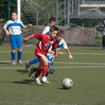 26_07052016-_Opicina_-Kras_B_-_pulcini-300