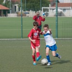 29_07052016-_Opicina_-Kras_B_-_pulcini-347