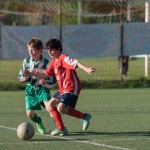 30_04052016-_Kras_B_-_San_Luigi_D_pulcini-500