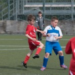 30_07052016-_Opicina_-Kras_B_-_pulcini-352