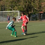 32_04052016-_Kras_B_-_San_Luigi_D_pulcini-535