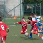 32_07052016-_Opicina_-Kras_B_-_pulcini-355