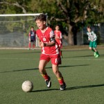 33_04052016-_Kras_B_-_San_Luigi_D_pulcini-545