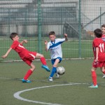 33_07052016-_Opicina_-Kras_B_-_pulcini-384