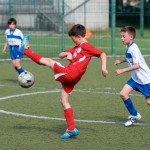 34_07052016-_Opicina_-Kras_B_-_pulcini-392