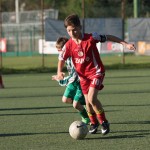 35_04052016-_Kras_B_-_San_Luigi_D_pulcini-569