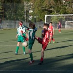 36_04052016-_Kras_B_-_San_Luigi_D_pulcini-619