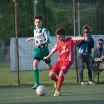 37_04052016-_Kras_B_-_San_Luigi_D_pulcini-648