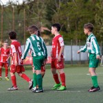 38_04052016-_Kras_B_-_San_Luigi_D_pulcini-654