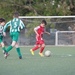 39_04052016-_Kras_B_-_San_Luigi_D_pulcini-659