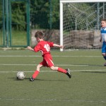 39_07052016-_Opicina_-Kras_B_-_pulcini-465